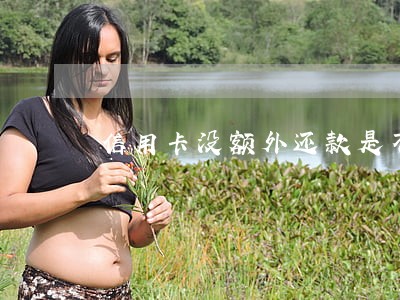 信用卡没额外还款是不是就没逾期