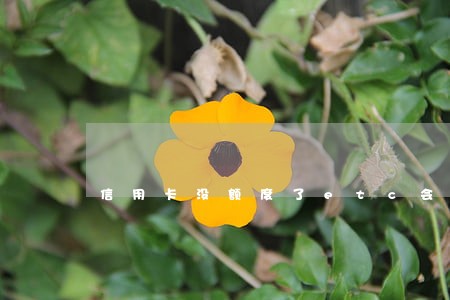 信用卡没额度了etc会逾期吗 信用卡没额度了etc会逾期吗