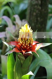 信用卡法律咨询天津 信用卡法律咨询天津