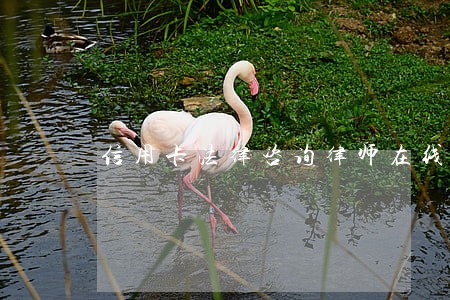 信用卡法律咨询律师在线 信用卡法律咨询律师在线