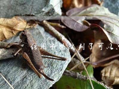 信用卡法院判了可以只还本金吗 信用卡法院判了可以只还本金吗
