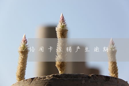 信用卡注销产生逾期