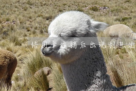 信用卡注销后出现利息逾期怎么办 信用卡注销后出现利息逾期怎么办