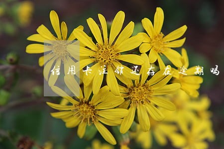 信用卡注销还存在逾期吗