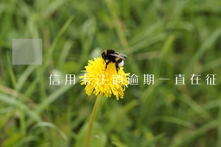 信用卡注销逾期一直在征信上吗