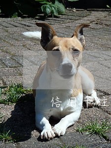 信用卡注销逾期两三天影响征信吗