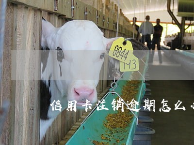 信用卡注销逾期怎么办