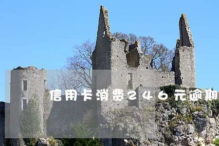 信用卡消费246元逾期四天