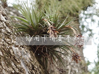 信用卡消费不知情逾期 信用卡消费不知情逾期