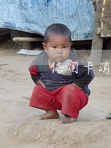 信用卡消费后有逾期 信用卡消费后有逾期