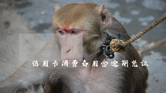 信用卡消费备用金逾期凭证