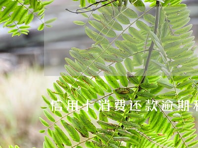 信用卡消费还款逾期利息 信用卡消费还款逾期利息
