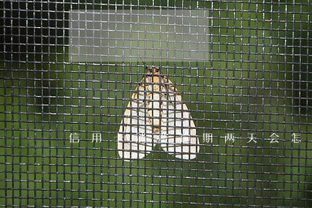 信用卡消费逾期两天会怎样 信用卡消费逾期两天会怎样