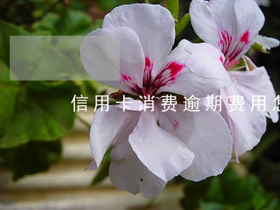 信用卡消费逾期费用怎么算 信用卡消费逾期费用怎么算