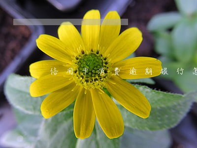 信用卡消费逾期银行怎么处理