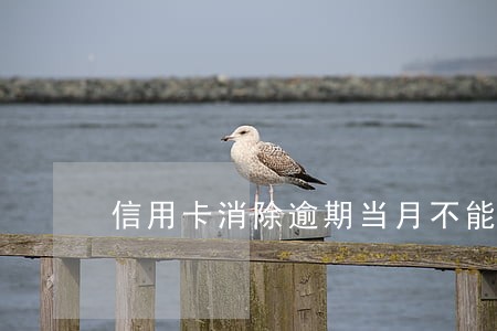 信用卡消除逾期当月不能消除吗