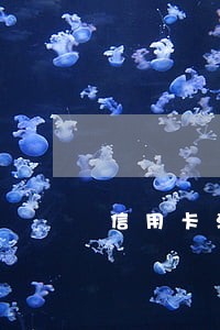 信用卡消除逾期找哪里 信用卡消除逾期找哪里