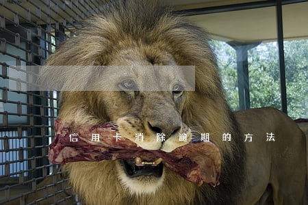 信用卡消除逾期的方法 信用卡消除逾期的方法