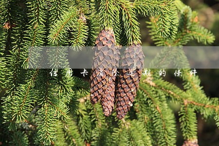 信用卡消除逾期的条件