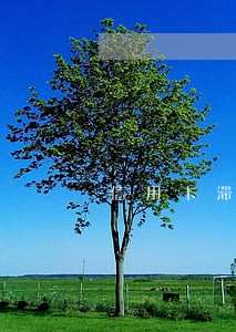 信用卡滞纳金和违约金算逾期吗 信用卡滞纳金和违约金算逾期吗