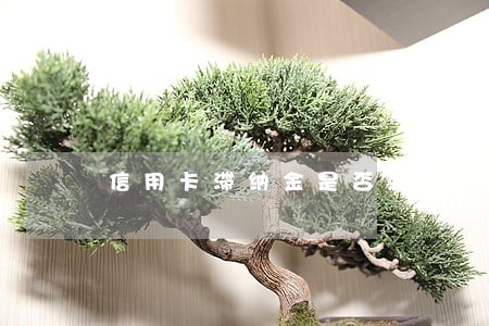 信用卡滞纳金是否就是逾期 信用卡滞纳金是否就是逾期