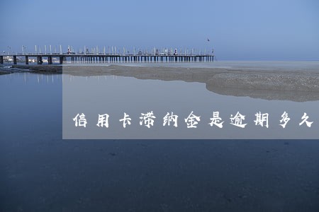 信用卡滞纳金是逾期多久