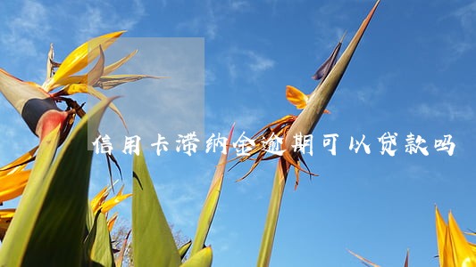 信用卡滞纳金逾期可以贷款吗 信用卡滞纳金逾期可以贷款吗