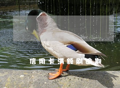 信用卡满额刷逾期 信用卡满额刷逾期