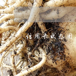 信用卡状态因逾期而停用 信用卡状态因逾期而停用