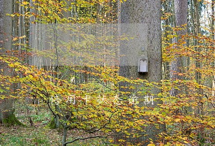 信用卡状态逾期 信用卡状态逾期