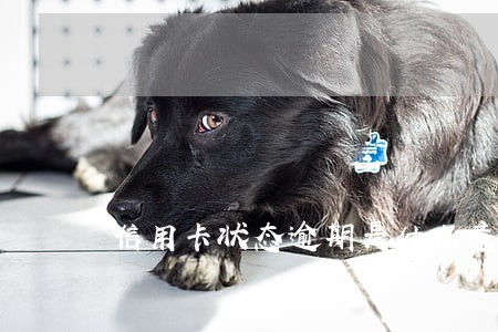 信用卡状态逾期是什么意思
