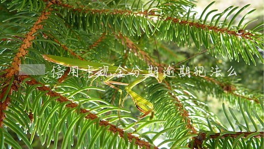 信用卡现金分期逾期犯法么 信用卡现金分期逾期犯法么