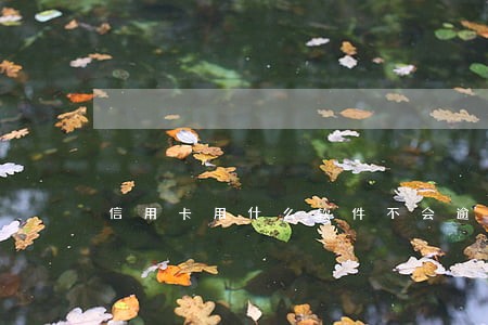 信用卡用什么软件不会逾期 信用卡用什么软件不会逾期