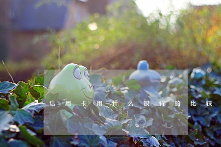 信用卡用什么银行的比较好