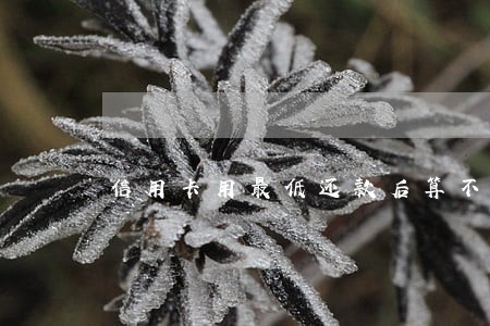 信用卡用最低还款后算不算逾期 信用卡用最低还款后算不算逾期