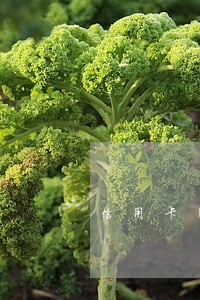信用卡用逾期银行处理