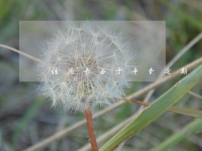 信用卡由于年费逾期 信用卡由于年费逾期