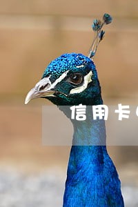 信用卡申请不下来了没有逾期过 信用卡申请不下来了没有逾期过