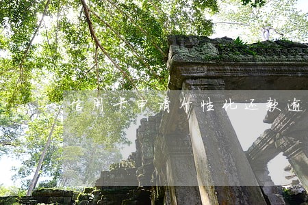 信用卡申请个性化还款逾期吗 信用卡申请个性化还款逾期吗