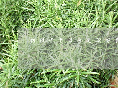 信用卡申请减免逾期费用 信用卡申请减免逾期费用