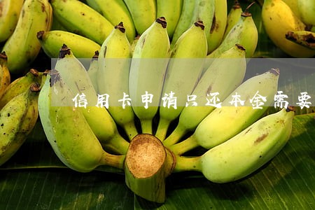 信用卡申请只还本金需要资料吗 信用卡申请只还本金需要资料吗