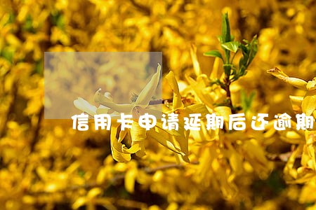 信用卡申请延期后还逾期一天 信用卡申请延期后还逾期一天