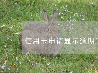 信用卡申请显示逾期了 信用卡申请显示逾期了