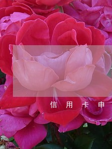 信用卡申请逾期两天会上征信吗 信用卡申请逾期两天会上征信吗