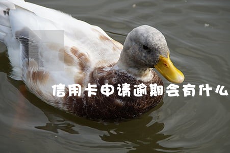 信用卡申请逾期会有什么影响