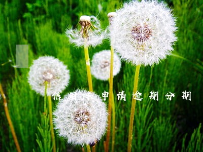 信用卡申请逾期分期