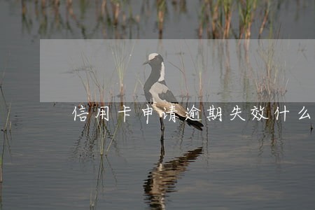 信用卡申请逾期失效什么意思 信用卡申请逾期失效什么意思
