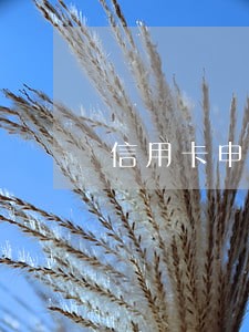 信用卡申请逾期未核卡 信用卡申请逾期未核卡