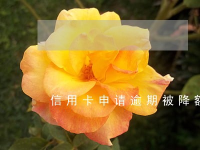 信用卡申请逾期被降额度 信用卡申请逾期被降额度