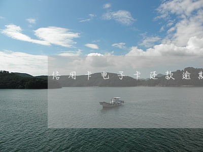信用卡电子卡还款逾期 信用卡电子卡还款逾期